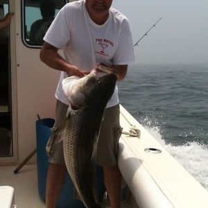 Meet your Posher, Ray